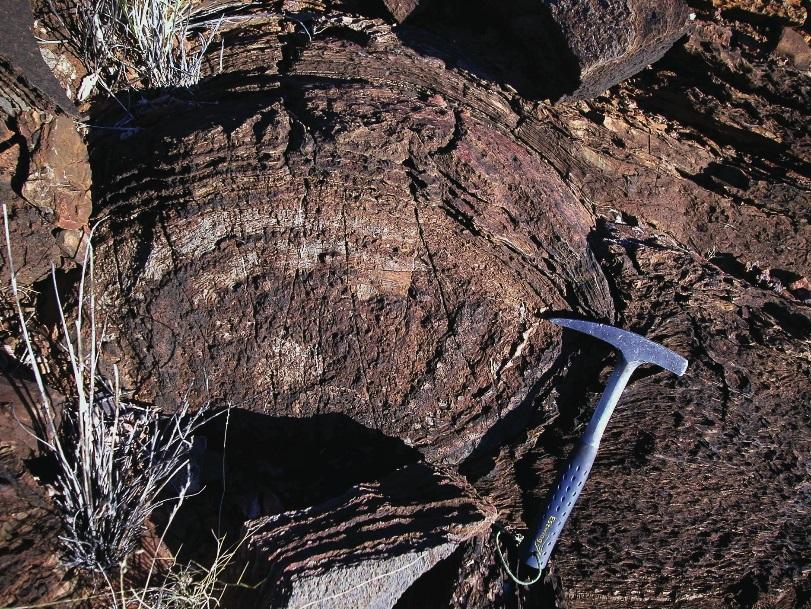 9 Pomiędzy 3500 a 2700 milionów lat temu Fig. 9 Najstarsze, w pełni rozpoznane stromatolity (Tumbiana, Australia).