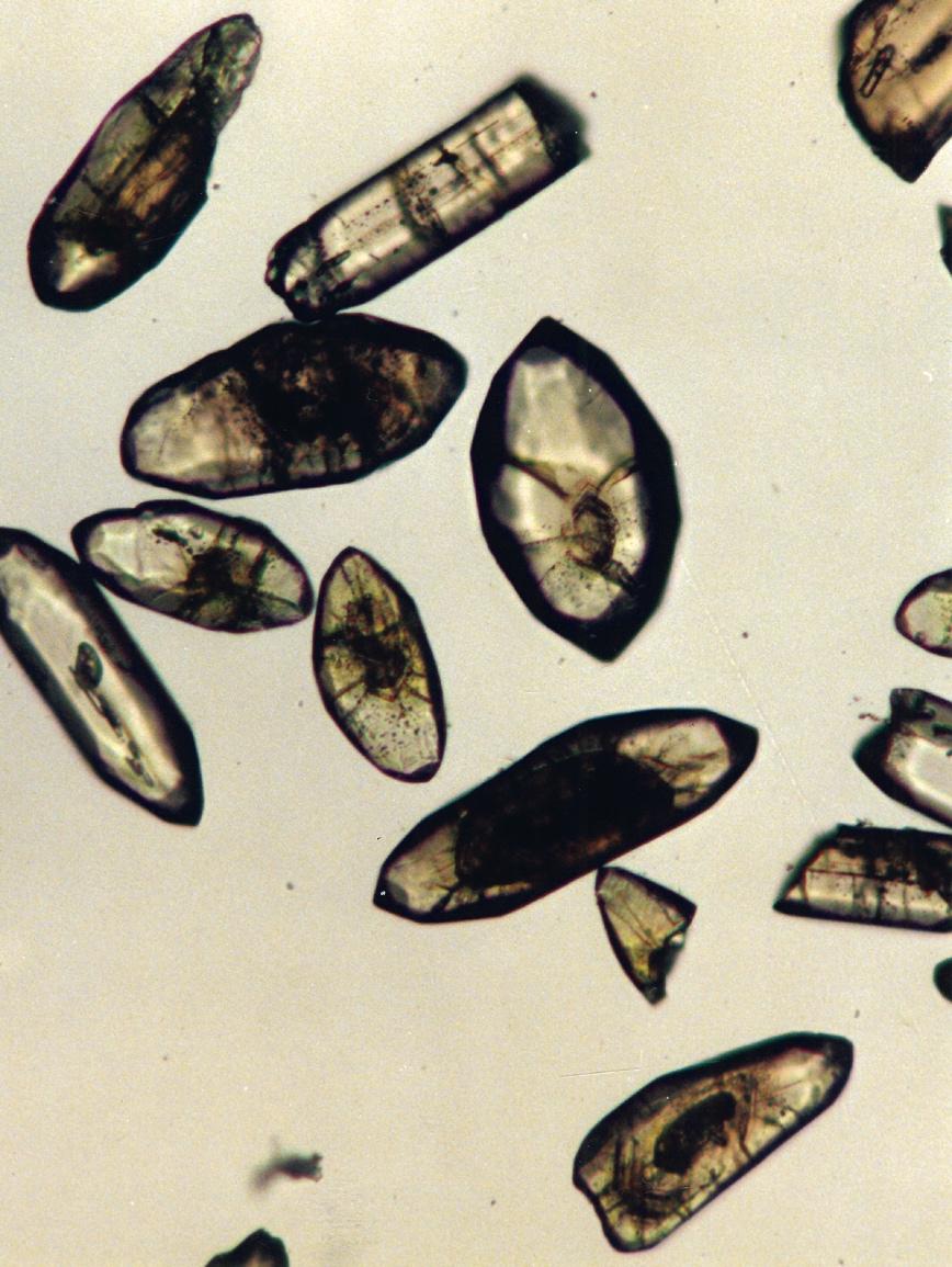 6 Około 4400 milinów lat temu Fig. 6 Archaiczne kryształy cyrkonu: kryształy te są podobne do odkrytych w Jack Hills we Zachodniej Australii cyrkonów o wieku 4,4 mld lat.