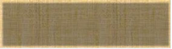 3010 South 48th Ct. Cicero, IL 60804 Tel. 708-652-0948 Fax. 708-652-0646 Website: www.stmaryofczestochowa.