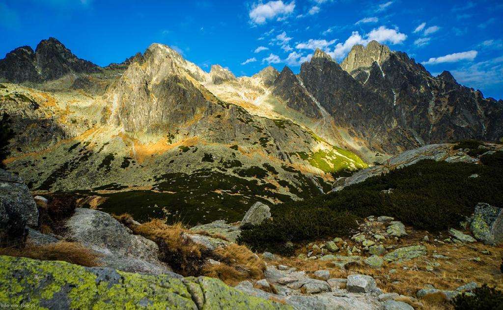 Element meteorologiczny wiatr Zwiastun poprawy pogody wzrost siły wiatru w godzinach południowych brak, lub stosunkowo słaby wiatr w godzinach porannych i nocnych Zwiastun pogorszenia pogody