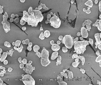 Relation between density of samples after compaction (p = = 600 MPa) and sintering in argon atmosphere (t S