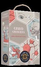 Ciało człowieka gra edukacyjna dla