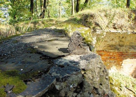 Więźby dachowe w budynkach wykonywano jako drewniane, w których spotyka się konstrukcyjne ściągi stalowe do przenoszenia obciążeń nad znacznymi rozpiętościami (ryc. 15).