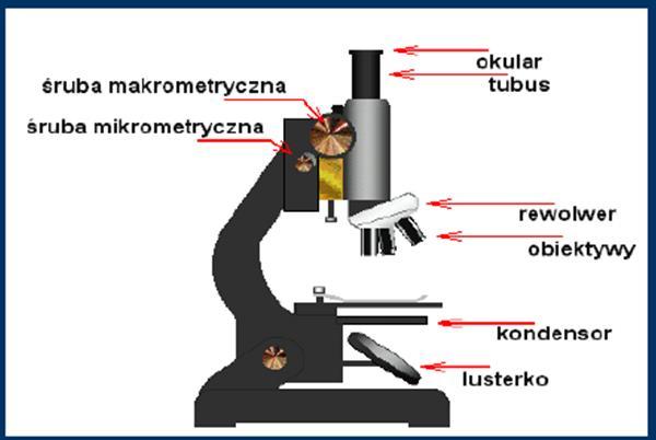 Mikroskopy Prosty