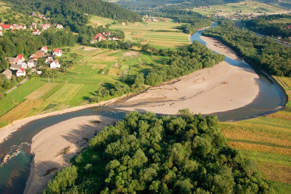 Przegląd Przyrodniczy XXVIII, 4 (2017) Fot. 1. Raba pomiędzy Lubniem a Pcimiem w czerwcu 2010 roku na pierwszym planie na lewym brzegu Raby przysiółek Pabiska (fot. Łukasz Ślusarczyk). Photo 1.