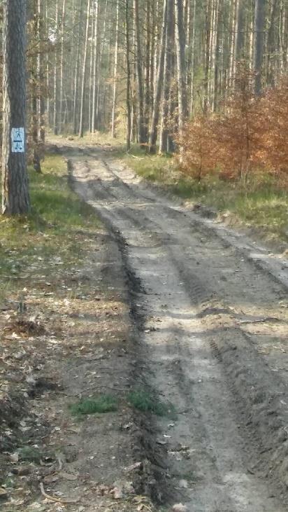 W związku z otrzymaną telefonicznie informacją od mieszkańca Powiatu Kościerskiego w zakresie znacznego zniszczenia ścieżki pieszo -