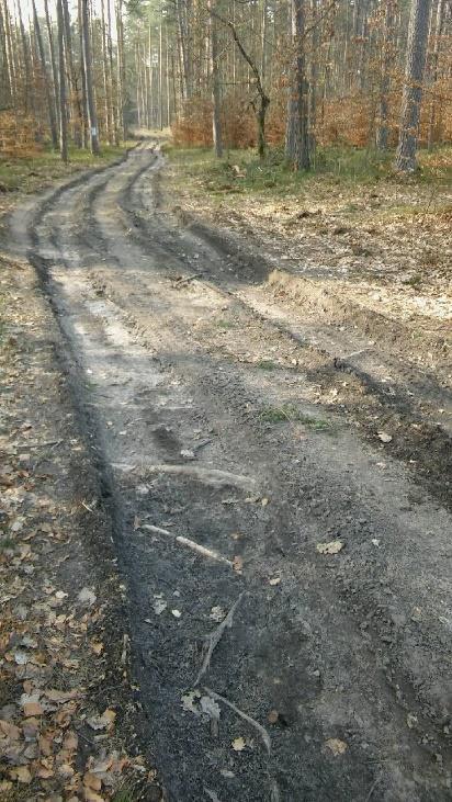 Kościerzyna o niezwłoczne podjęcie czynności zmierzających do naprawy jej obecnego stanu.