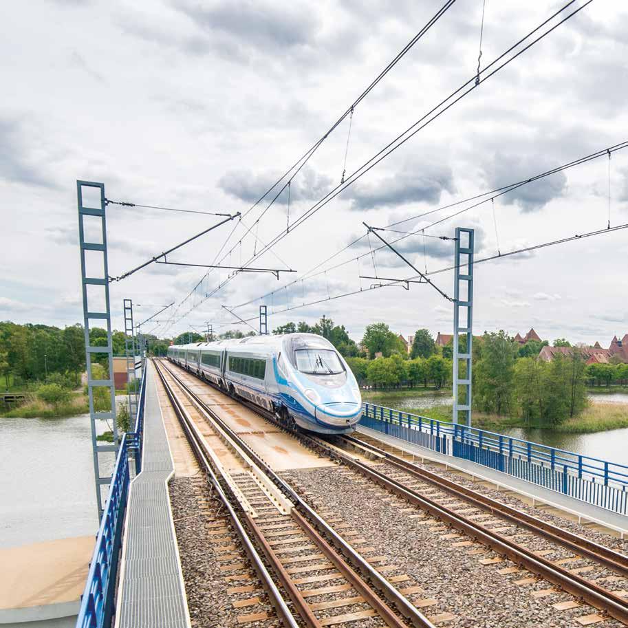 WŁADZE SPÓŁKI NA DZIEŃ 31.12.