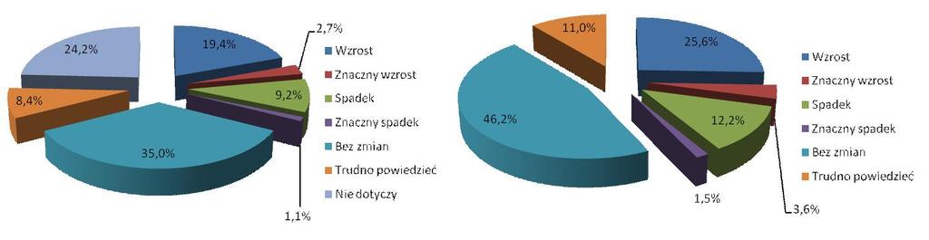 Oczekiwania firm w 2009 r.