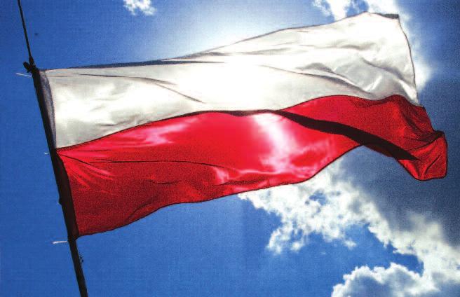 ZDANIEM WYBORCÓW 87% TAK 86% TAK 75% TAK 91% TAK Czy Państwa zdaniem potrzebna jest zmiana reprezentacji naszego regionu w sejmie?