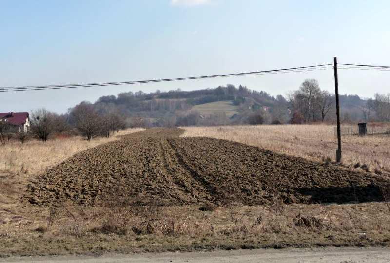 nr 15 (15-16).