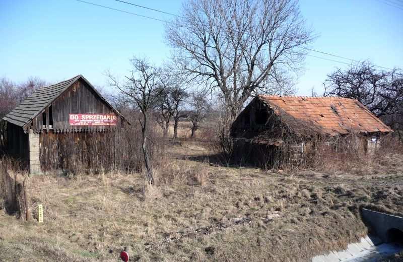 34 III. Jasień Brzeski Fot. nr 54.