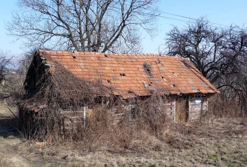 35 Fot. nr 56.
