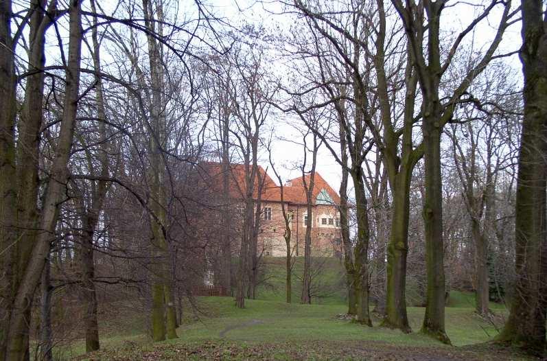 warowni. Fot. nr 121.