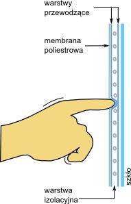 izolacyjną; membrana poliestrowa chroni ekran przed uszkodzeniami dotknięcie ekranu powoduje zwarcie ze sobą dwóch warstw przewodzących; powstałe napięcie