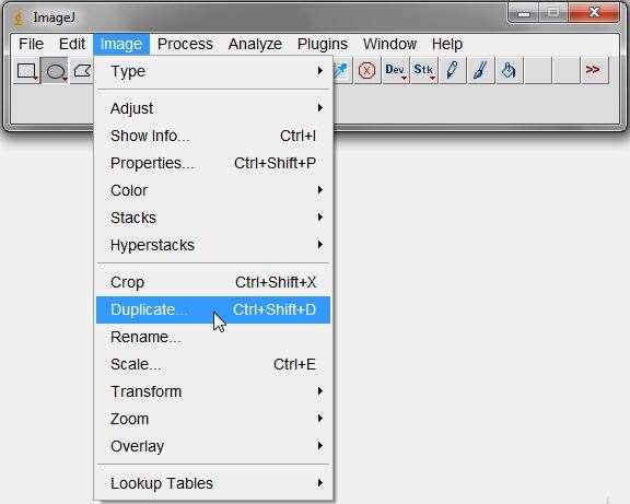 Rysunek 8. Polecenia wykonujące duplikat. Jeśli polecenie Duplicate zostanie wywołane na całym obrazie (nic nie będzie zaznaczone), wówczas wykonana zostanie kopia całego obrazu.