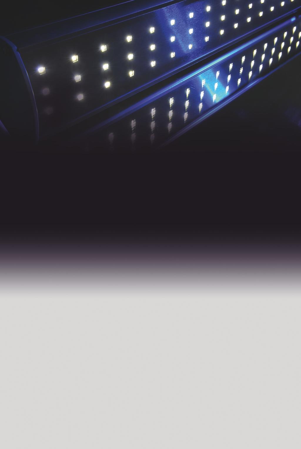 LIGHT Grupa produktów