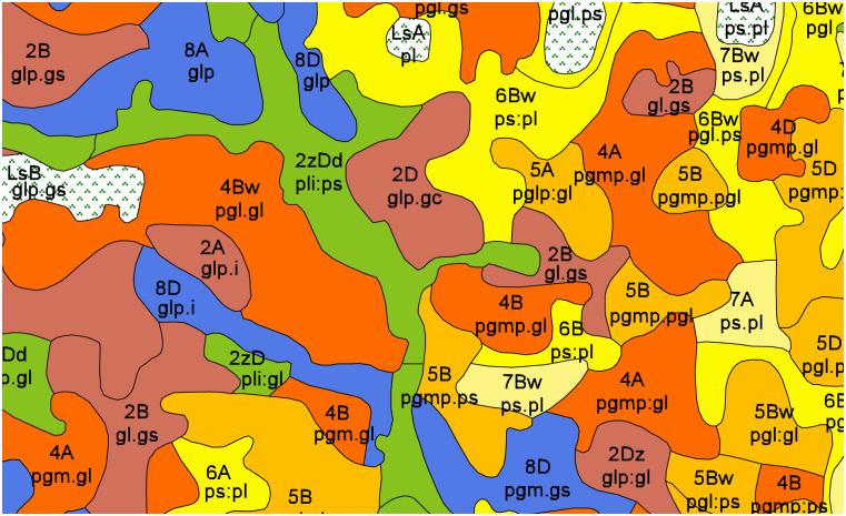 Rysunek 11 Fragment mapy glebowo-rolniczej w skali 1:5000 (na mapie zapis np glp oznacza glina lekka pylasta, ps:pl piasek słabogliniasty na piasku luźnym itd, pozostałe oznaczenia przedstawia
