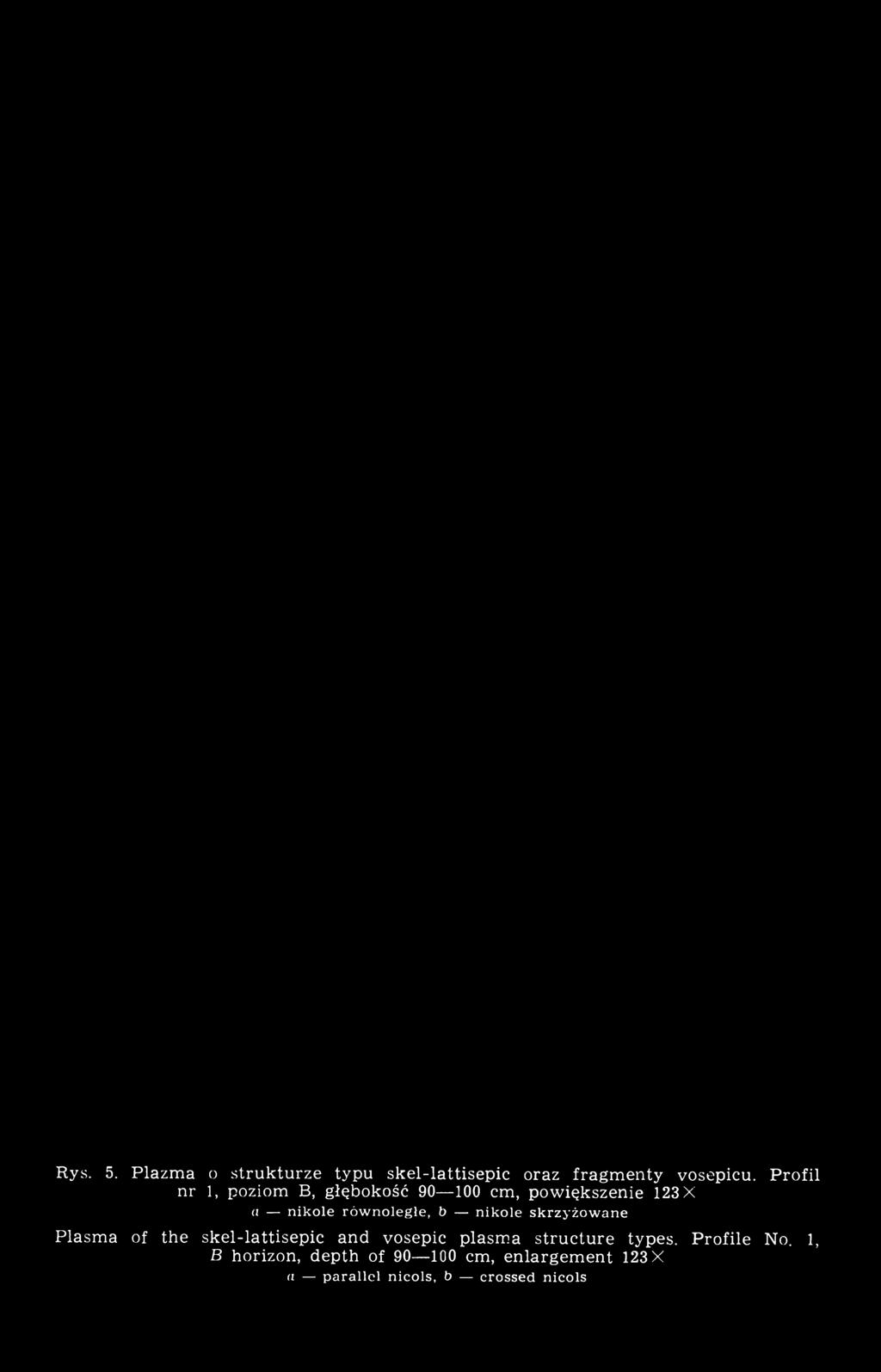 nikole skrzyżowane Plasma of the skel-lattisepic and vosepic plasma structure types.