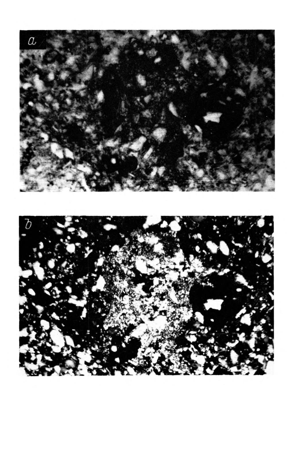 Rys. 6. Plazm a typu crystic (neokalcytan) miejscami im pregnowana związkami żelazowo-m anganowym i.