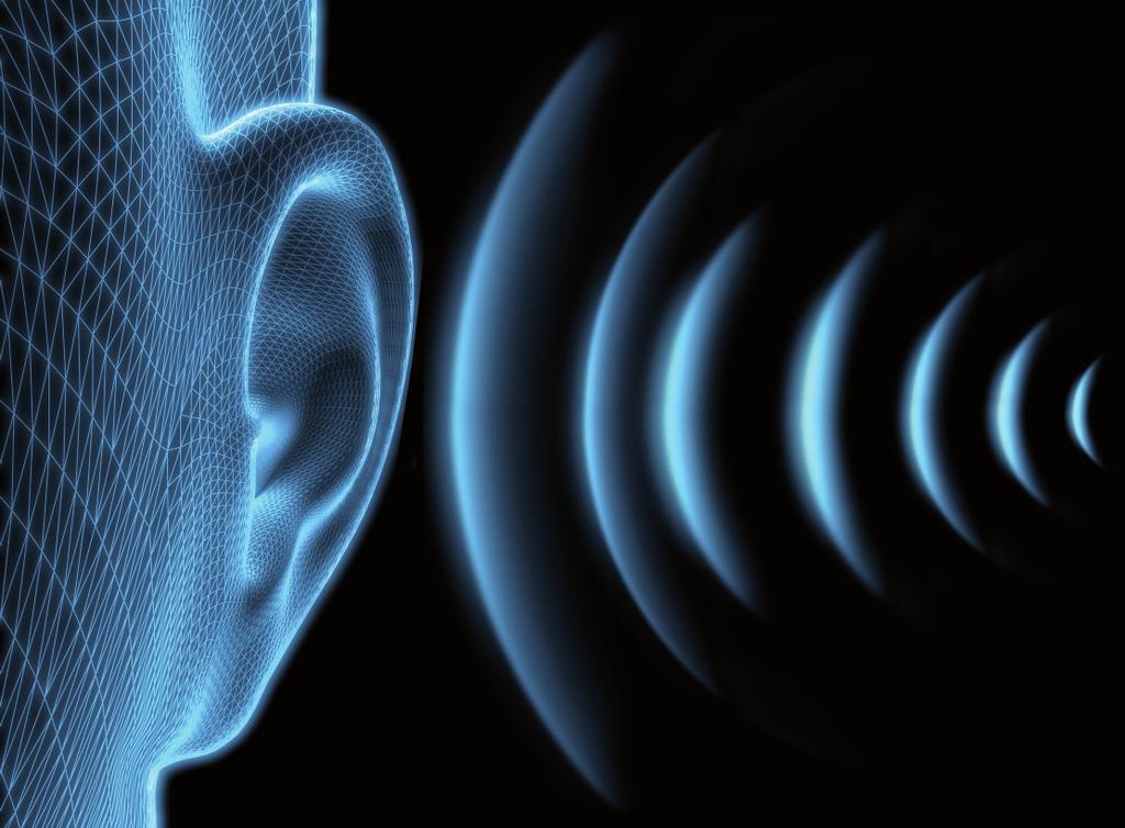 Podstawy Zakresy częstotliwości Zakres słyszalności Ludzkie ucho może odbierać fale dźwiękowe w zakresie częstotliwości od ok. 16 Hz do 16-20 khz.