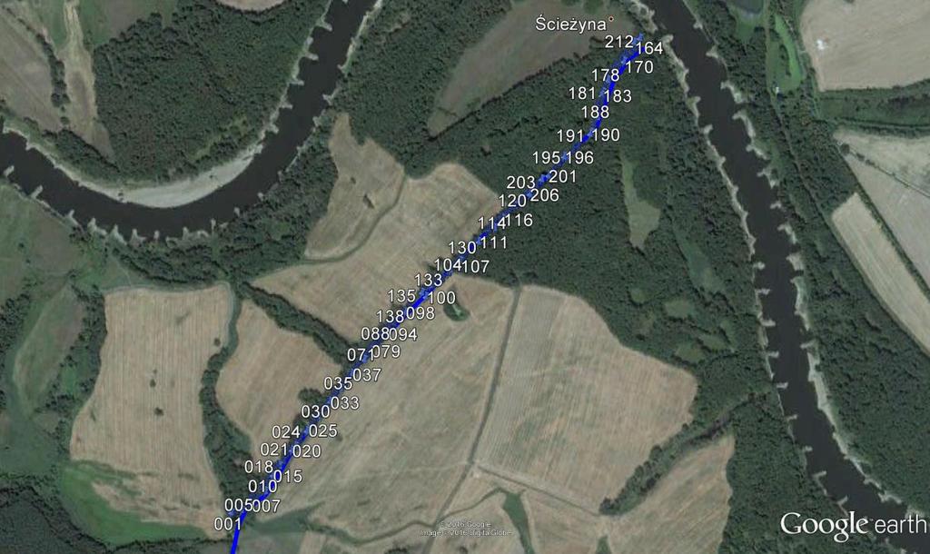 Kolorem żółtym zazczono pola opisowe dla egzemplarzy, których stan (głównie gałęzie i ) może być m i wymagać interwencji arborystycznej (głównie usunięcia suchych gałęzi i korów), ale wymaga to oceny
