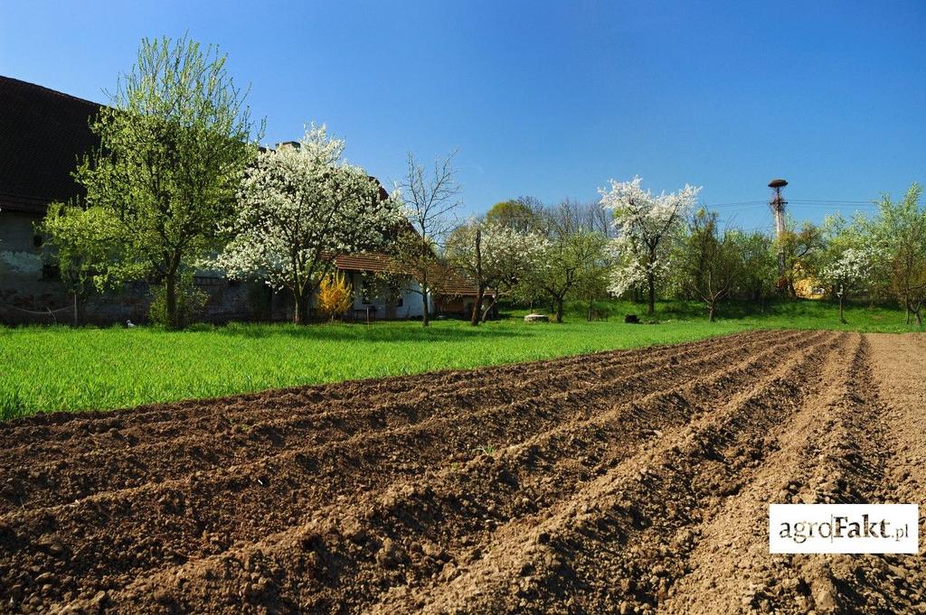 .pl https://www..pl Bardzo duży odsetek rolników starał się sprzedać bądź kupić ziemię, zanim ustawa zaczęła obowiązywać. Co natomiast o cenie ziemi sądzą sami rolnicy?