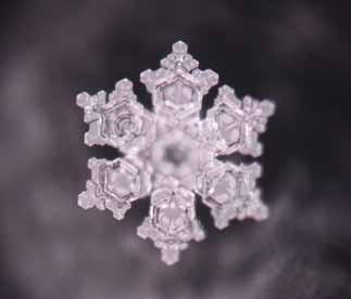 Living Water Technology została opracowana w Polsce a firma Harmony H 2 O bazuje na wieloletnich badaniach Masaru Emoto, z którym bezpośrednio współpracowała.