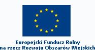 projektów z zakresu: Rozwoju istniejących przedsiębiorstw Europejski Fundusz Rolny na rzecz Rozwoju Obszarów Wiejskich: Europa inwestująca w obszary wiejskie Instytucja