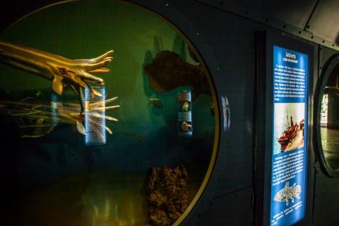 [12] [13] Wielka Nieszawka przypomina czasy Olendrów.