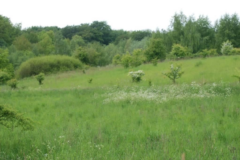 Fot. Widok na środkową