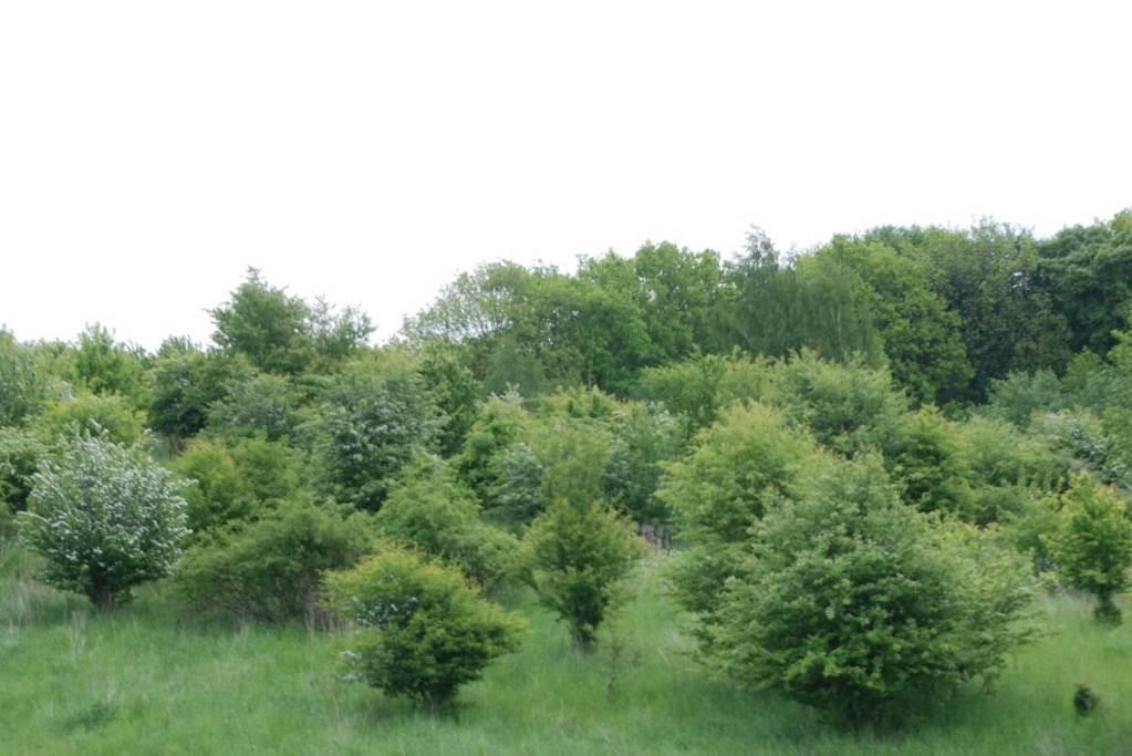 Fot. Widok na