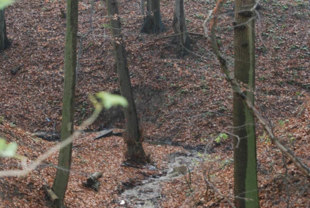 Fot. Widok na dolinę cieku wodnego Osiniec w miejscu lokalizacji planowanej inwestycji 3.2. Waloryzacja siedlisk i flory.