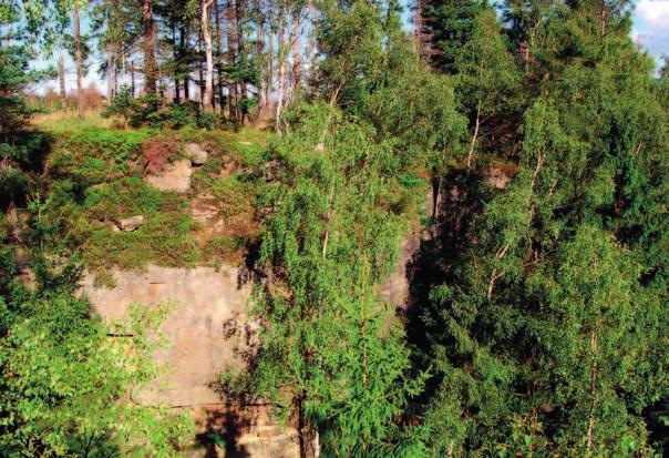 Skalne urwiska stworzone przez człowieka Skały Puchacza Skalne ściany powyżej Łężyc Wędrując niebieskim szlakiem wzdłuż południowej krawędzi płaskowyżu Narożnika naszej uwadze nie mogą umknąć skalne