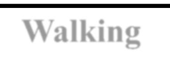 Michael s Church Saturday -Sunday, August 4-5, 2018 Maintenance collection Walking
