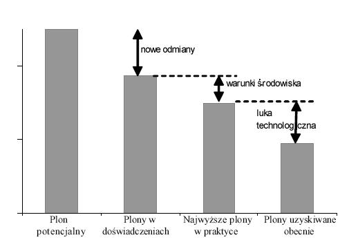 Poziomy