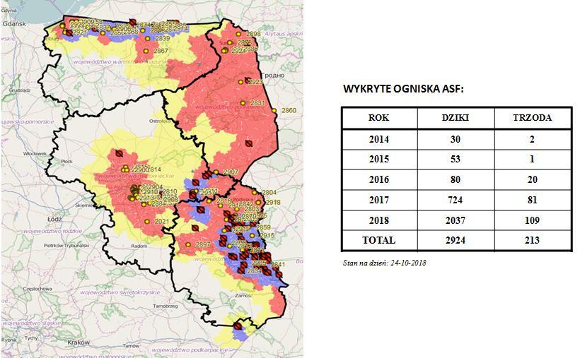 Afrykański Pomór Świń (ASF) Aktualna sytuacja w Polsce Mapa ognisk i przypadków ASF w