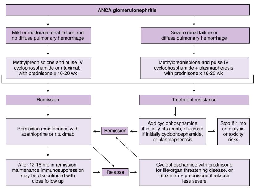 RYTUKSYMAB MabThera Jenette JC,