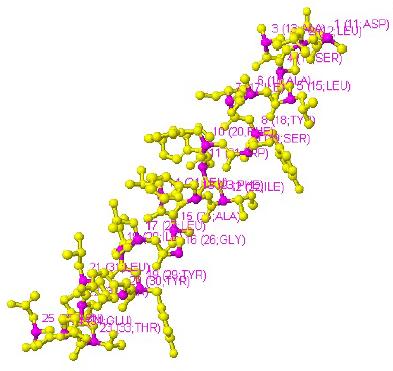 Struktura przestrzenna biomolekuł Biomolekuły mogą być zwizualizowane jako sieć atomów z odwzorowanymi wiązaniami pomiędzy nimi, gdzie każdy atom stanowi węzeł o pewnych przestrzennych koordynatach