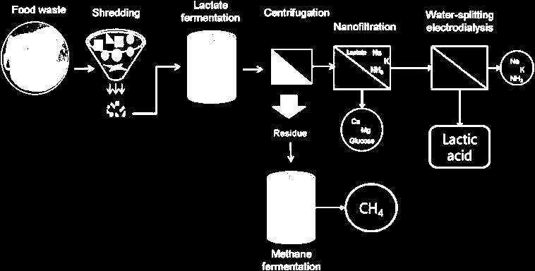 Wykres 11. System otrzymywania kwasu mlekowego oraz biogazu z odpadów żywności. Źródło: M. Kim, J. Na, M. Lee, H. Ryu, Y.