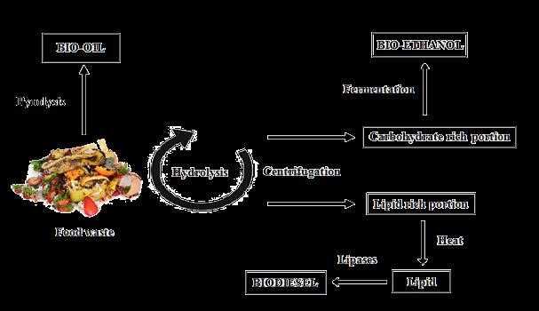 Wykres 12. Produkcja biooleju, bioetanolu i biodiesla z odpadów spożywczych z zastosowaniem metod chemicznych i biokatalitycznych. Źródło: S. K.