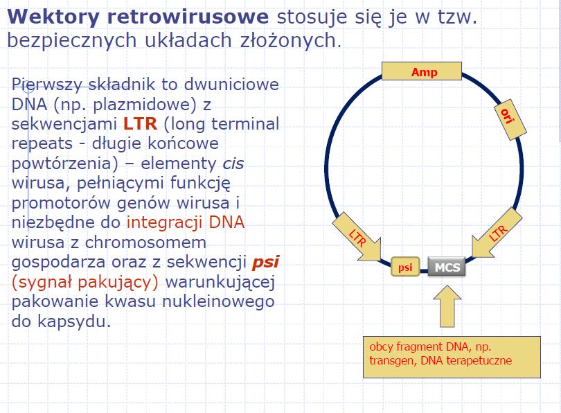 Ponieważ wektor jest wahadłowy możemy