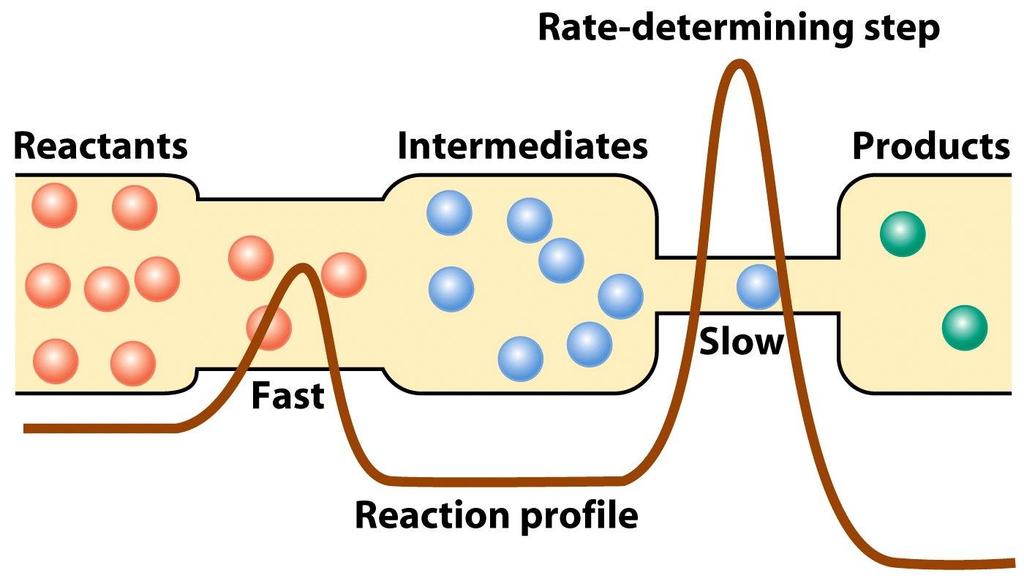 Schemat reakcji 2NO + O 2 2NO 2 NO + NO N 2 O 2 N 2 O 2 + O 2 2NO 2 (wolno)