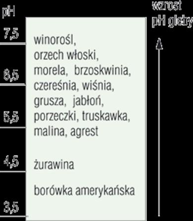 Zadanie 1. Przy wysokim poziomie wód gruntowych można uprawiać Zadanie 2. śliwy. jabłonie. truskawki. orzechy włoskie. Rośliną wymagającą bardzo kwaśnego odczynu gleby jest borówka amerykańska.
