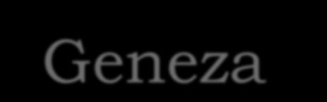 Geneza parametry projektu wdrożenia rozmowy