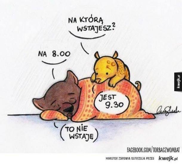 Niezbędnik białostockiego ogarniacza Olga Wasilewska Sekretarz Oddziału Białystok 2013-2016 Międzynarodowe Stowarzyszenie Studentów