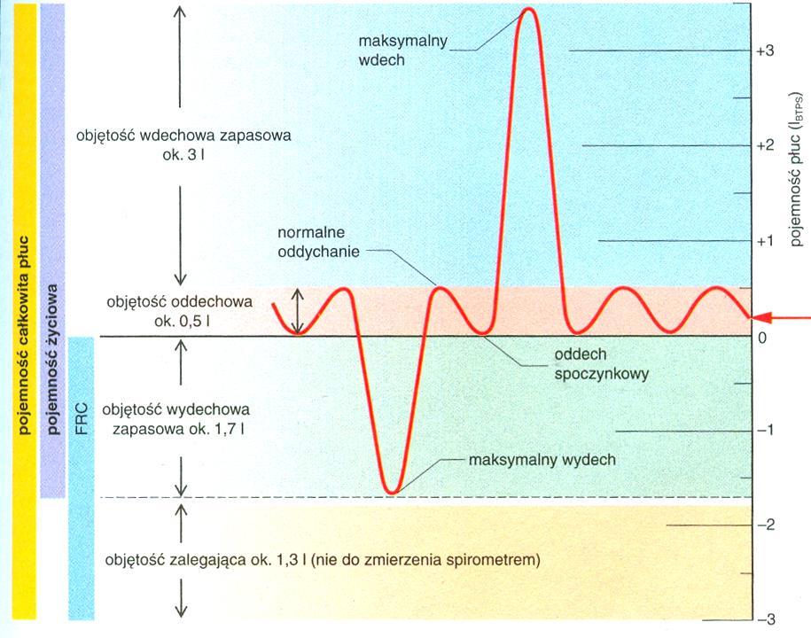 Spirometria FRC czynnościowa pojemność