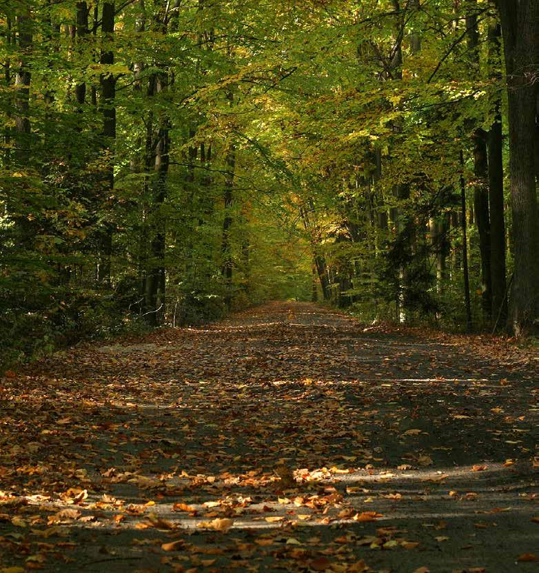 impregnowany kołnierz ze ściągaczem łatwy do pielęgnacji, wyjmowany