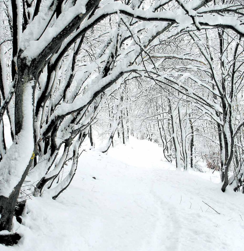-30 C -35 0 C 950g SYBERIAN LONG wysoka podeszwa(40mm) bardzo dobra izolacja