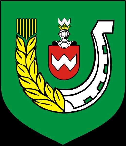 WIZJA
